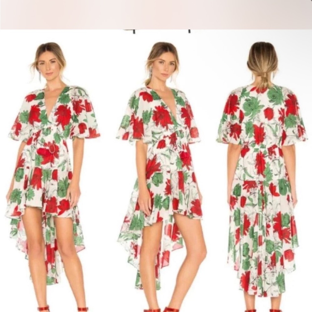 Alexis Floral Red and Green Women's Dress